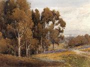 A Grove of Eucalyptus in Spring, unknow artist